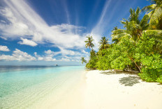 Lokasi 5 Pantai Dekat dengan Kabupaten Jombang yang Jarang Terungkap, Eksotis dan Sejuk, Cocok untuk Liburan Tenang! Gak Perlu Jauh-jauh Mengendarai Motor