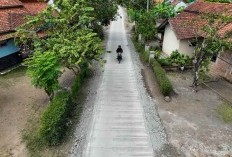 4 Kecamatan Terpencil di Cilacap, Jawa Tengah, Menghadirkan Pesona Alam yang Menawan dalam Wilayah yang Terbatas, Hanya 115,00 km2.