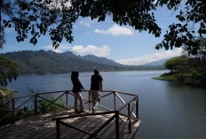 Segar dan Adem! 5 Kecamatan Paling Dingin di Kabupaten Malang, Peringkat Pertama Berada di Ketinggian 1.157 MDPL, Penasaran dengan Tempatnya?