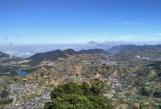 Jelajahi Belanja Berkualitas di Kabupaten Wonosobo! Meski Tanpa Mall, Warga Tetap Bahagia dan Puas!