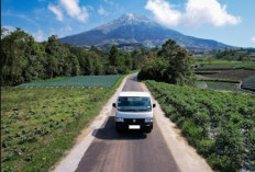 Suzuki Indonesia Perkuat Industri Otomotif Nasional, Penjualan Produk Lokal Capai 88%