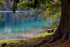 Bikin Gugup! Mari Menyelami Keindahan Danau Framu Ayamaru di Papua Barat, Pesona Alam Paling Menggoda, Berikut Ulasannya!