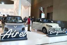 Didominasi Air EV dan Binguo EV, Wulingb Sukses Bukukan 282 SPK Dari Ajang PEVS 2025