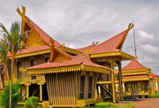 Terungkap! Daerah di Riau dengan Desa Terbanyak, Termasuk Kotamu? Simak Informasinya Sekarang! Bukan di Kuantan Singingi