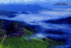 Kalimantan Barat Ternyata Punya 5 Daerah yang Mendominasi dalam Membentuk Individu Berbakat dan Cerdas, Daerah Mana Saja?