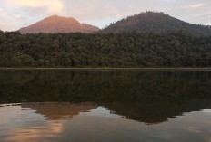 Surga Tersembunyi di Jantung Jawa Timur Yuk Menelusuri Kecamatan Paling Ramai di Gresik yang penduduk mencapai 1.291.518 Jiwa, Bukan Manyar Juaranya 