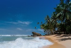 Pantai Wohkudu di Yogyakarta Yuk Nikmati Pesona Hamparan Rumput Hijau dan Keunikan Tersembunyi, Harga Masuknya Berapa?