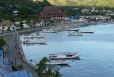 2 Kabupaten Paling Tertinggal di Sulawesi Barat Bikin Prihatin, Pendapatan Per Kapita hingga Tingkat Kesejahteraan Jadi Sorotan