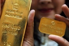 Koleksi Mewah Favorit: 6 Barang yang Disukai oleh Nagita Slavina dan Syahrini, Ideal untuk Dijadikan Investasi