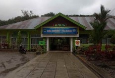 Peta Prestasi Pasaman Barat! Daftar 20 SMA Terbaik di Kabupaten Pasaman Barat Menurut Penilaian Kementerian Pendidikan dan Kebudayaan, Dimana Lokasinya?