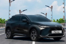 Toyota Rangga Siap Mejeng di Indonesia! Kapan Meluncur? Simak Informasi Selengkapnya Disini