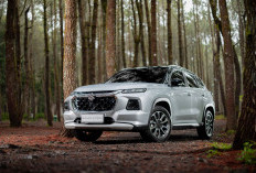 Penjualan Tumbuh 17% di November 2024, Prospek Cerah Mobil Hybrid Suzuki di Indonesia di tahun 2025