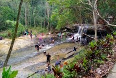 Terpencil dari Komunitas Sekitar? 6 Kabupaten di Kalimantan Barat, dengan Jarak ke Ibukota Kalbar Mencapai 673 Km