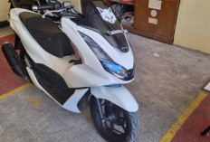 Pengguna PCX Wajib Tahu! Ternyata Ini 5 Daftar Penyakin Motor yang Sering Muncul, Jangan Dianggap Enteng