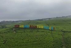Ukurannya Besar, Tapi Sepi! 4 Daerah Tersepi di Provinsi Bengkulu, Apakah Dearah Kamu Termasuk?