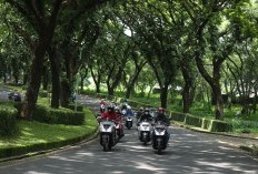 Ajak Konnsumen Healing Bareng Yamaha Lexi LX 155, Yamaha STSJ Himbau Konsumen Segera Daftar