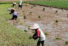 3 Pekerjaan yang Paling Digemari oleh Warga Jawa Timur dengan Gaji Selangit, Bukan sebagai Buruh Pabrik, Sales, atau Admin Marketing