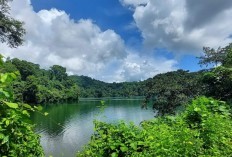 Pulau Rahasia di GRESIK Jawa Timur, Temukan Lokasi Wisata Menarik yang Jarang Diketahui, Dimana Letaknya?