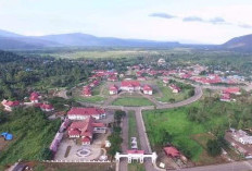 Daftar Kabupaten dan Kota Termiskin di Sulawesi Tenggara, Daerah Mana Saja?