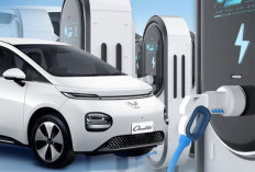 Yuk Intip 5 Masalah Mobil Listrik yang Harus Kita Ketahui !