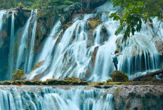 Gubernur Sudah Setuju! Simak Daftar Pemekaran di Sulawesi Tengah, Bakal Muncul Kabupaten, Kota dan Provinsi Baru