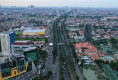 NTB Beneran Pecah? Ini Lho Wilayah yang Diisukan Jadi Provinsi Baru Cuma 256 Km dari Mataram