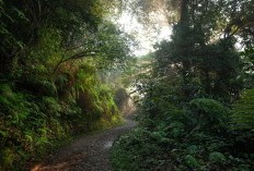 Ibukota Termuda di Pulau Jawa Bakal Dicabut? Usai Isu Tak Mampu Bersaing jadi Kota Otonom yang Tergabung dengan Banten, Penasaran Apa Namanya?