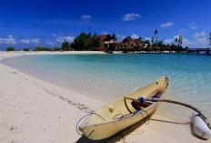 Menjelajah 10 Provinsi dengan Pulau Terbanyak di Indonesia, Apakah Maluku Masuk dalam Daftar?