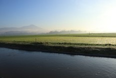 Kartasura Bukan Juaranya Ternyata Wilayah Teramai di Sukoharjo Jawa Tengah Berhasil Diraih oleh Kecamatan dengan Teritorial dan Kelebihan yang Dianggap Sebelah Mata