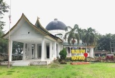 Daerah Mana Kabupaten Terluas di Provinsi Sumatera Utara? Ternyata Wilayah yang Sering Didatangi Tokoh Penting Dunia di No 1