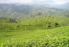 Luasnya 661,52 km2 dan 8.651,20 km2 Kini Jawa Barat Resmi jadi 3 Bagian! Namanya Terinspirasi dari Leluhur Kota Bandung Siapa Itu?