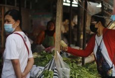 Melihat Lebih Dekat Pembentukan Kabupaten Pelalawan dan Kabupaten Rokan Hulu di Riau dengan Luas 20.920,26 Km², Benarkah untuk Mengurangi Populasi Penduduk?