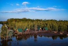 Lima Kecamatan Paling Ramai dan Sibuk di Kabupaten Ketapang, Menggoda Pengunjung dengan Pesona Alamnya! Apa Saja Daerahnya?