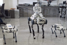 ITS Kembangkan Robot Anjing Dengan Sensor dan Navigasi