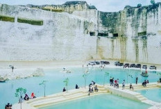 Lama Ditunggu, Ini Info Pemekaran Jawa Timur, Lengkap Daftar Wilayah Kabupaten dan Jumlah Penduduk di Provinsi Baru