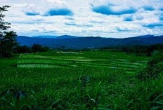 Perkampungan Unik di Banyumas dengan Hanya 6 KK, Keunikan yang Membuat Warga Jawa Tengah Bingung