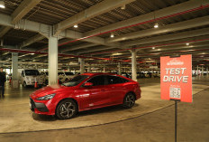 Meriah ! Bertemakan Kemerdekaan RI Gelaran Autovaganza ke-6 Dibanjiri Banyak Mobil Klasik dan Mobil Listrik