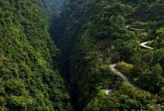 Menjelajahi Wisata Kelokan Ekstrim 4 Jam dari Ibukota Sumatera Utara, Medan yang Menawarkan Pemandangan Spektakuler