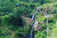 Tujuan Destinasi Wisata Utama di Ponorogo! Daftar Gunung yang Mengukir Keindahan Alam dan Menjadikan Kota Ini Wisata Paling Menarik di Indonesia