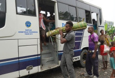 Miris! Pemerintah Masih Abaikan Angkutan Jalan Perintis