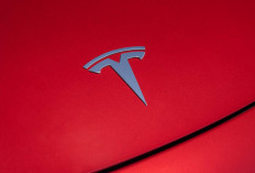 Bikin Elon Musk Gigit Jari, Pendapatan Tesla Turun Drastis, Tren Mobil Listrik Turun?