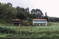 Kampung Terpencil di Mojokerto Hanya Sisakan 3 KK, Banyak Rumah Kosong Terbengkalai: Ternyata Ini Alasannya