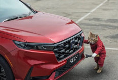 Honda Recall Steering Gearbox dan High Pressure Fuel Pump Pada All New Honda CR-V & All New Honda Accord