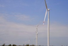 3 Kota dengan Penduduk Termiskin di Sulawesi Selatan yang Berjarak 81,8 Km dari Makassar, Membuat DPRD Sumsel Gelisah