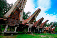 11 Kecamatan Pilih Keluar Toraja, Bentuk Kabupaten Baru di Provinsi Sulawesi Selatan, Cek Infonya