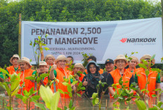 Peringati Hari Lingkungan Hidup Sedunia, Hankook Tire Tanam 2.500 Bibit Mangrove di Pesisir Muara Gembong