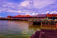 Ternyata Kalimantan Timur Punya 3 Wilayah Termaju Penghasil Orang Pintar, Daerah Mana Saja? Juaranya Punya Universitas Mulawarman Kampus Tertua di Kaltim