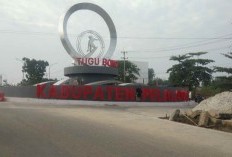 Awas Terkecoh! Tiga Kabupaten Ini Mendominasi Produksi Kelapa Sawit di RIAU, Kabupaten Terbaik Bisa Menghasilkan Hingga Satu Ton