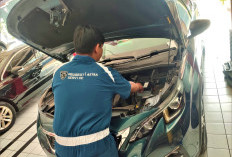 Meriahkan Nataru 2025, Peugeot Gratiskan Pengecekan Kendaraan