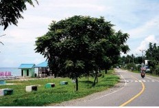 4 Daerah dengan Tingkat Kemiskinan Terbesar di Sulawesi Tengah Ini Sangat Jauh dari Kehidupan yang Layak, Apa Saja Wilayahnya?